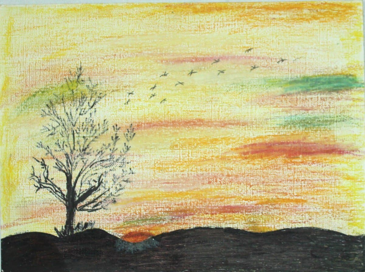 Sunset Tree Silhouette Drawing
